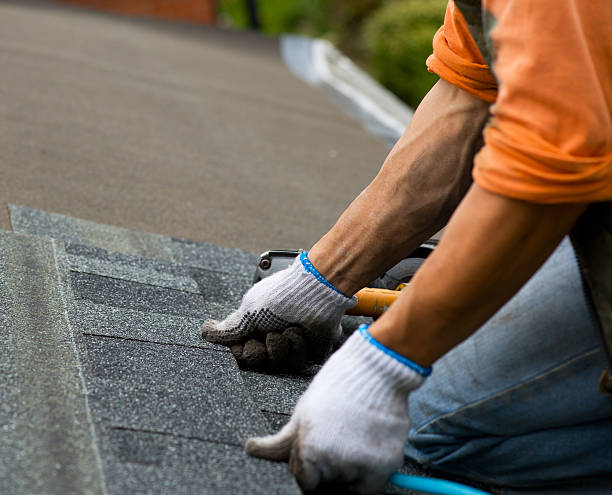 Best Roof Gutter Cleaning  in La Cienega, NM